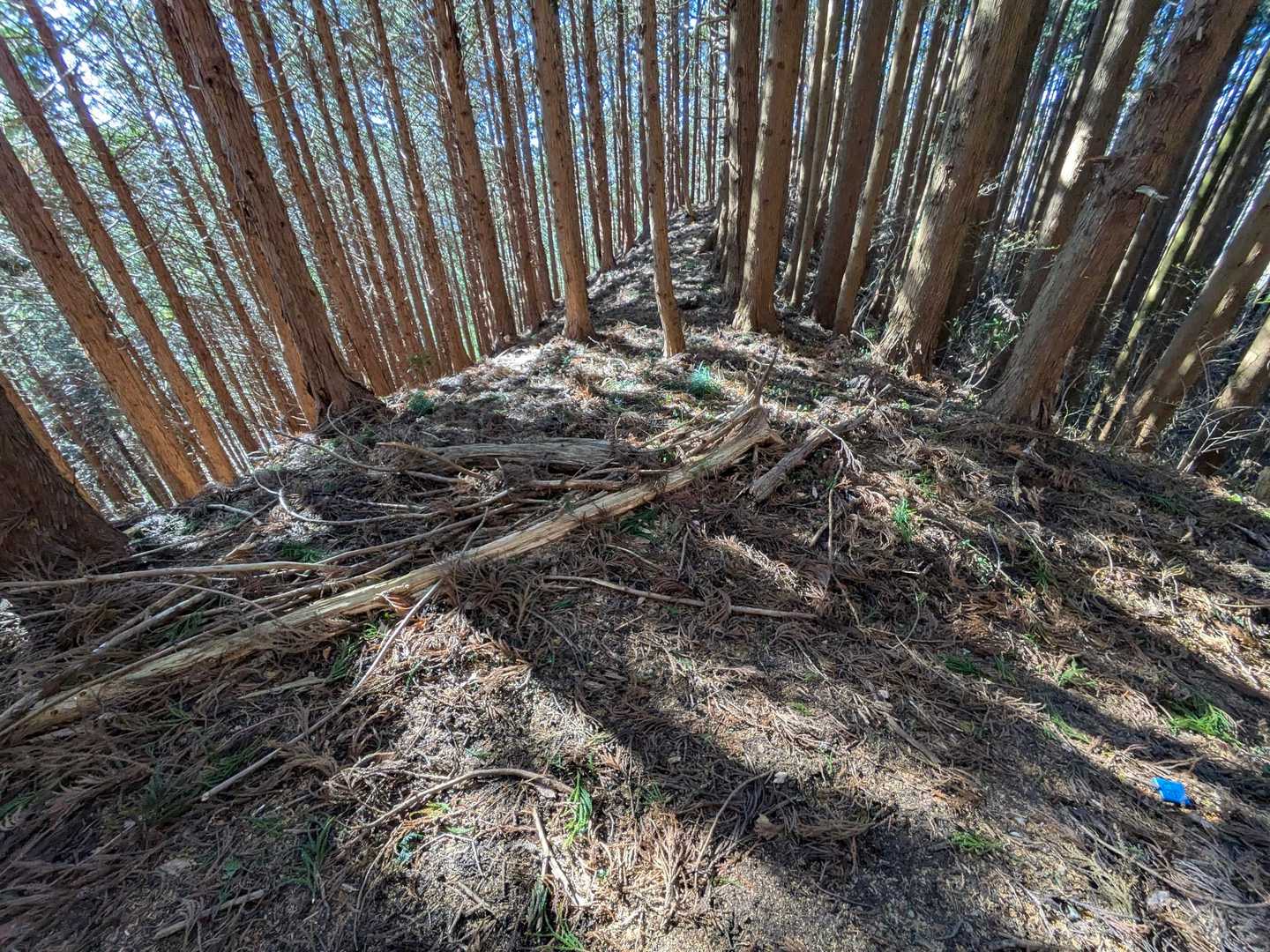 T字路(？)にぶつかったら右へ👉️