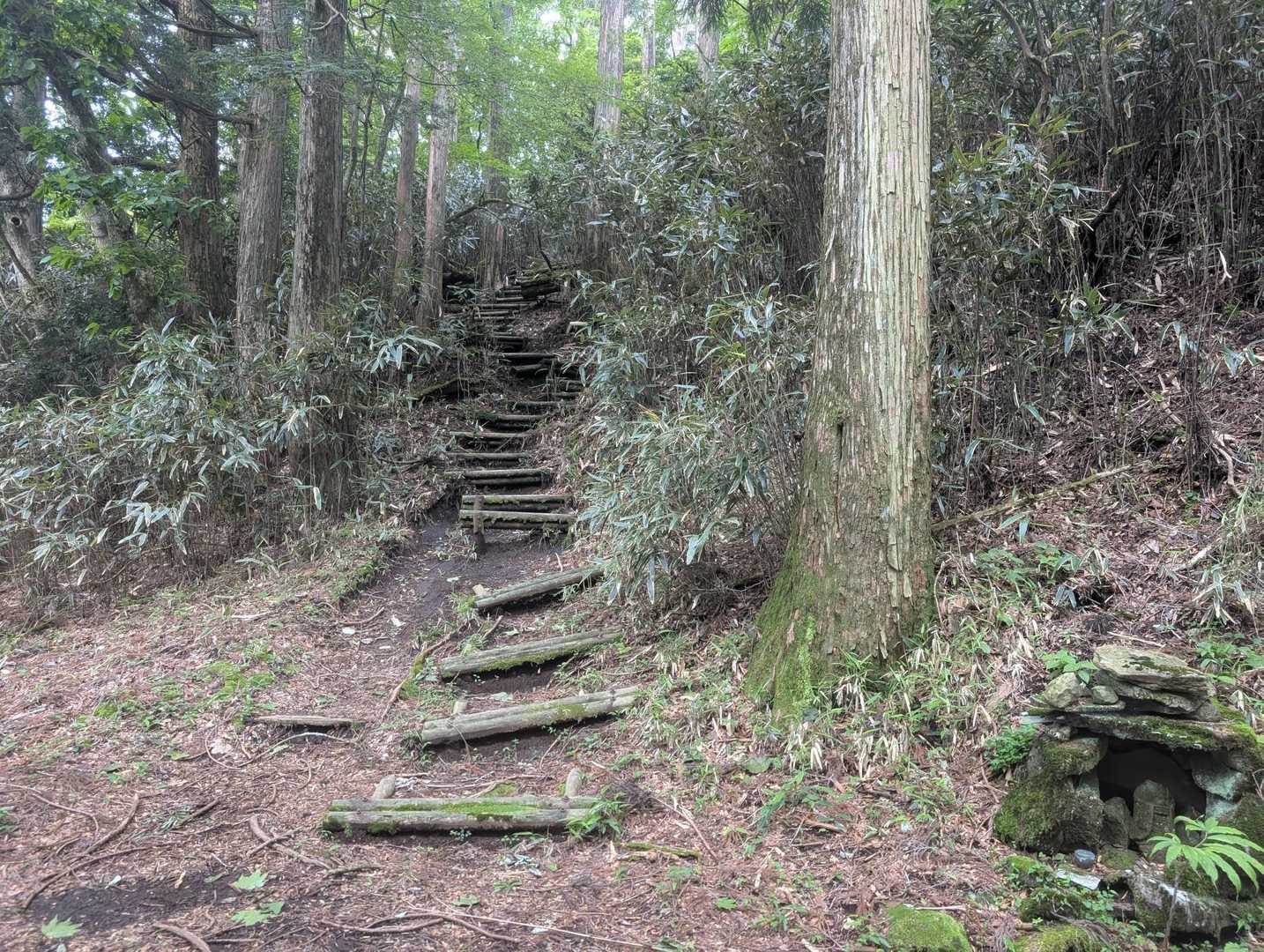登り返しがきちー