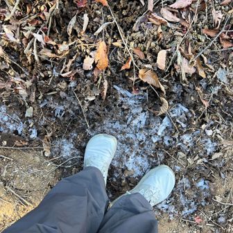 あら😳
霜が出てきました！
そして撮れ高のないまま…