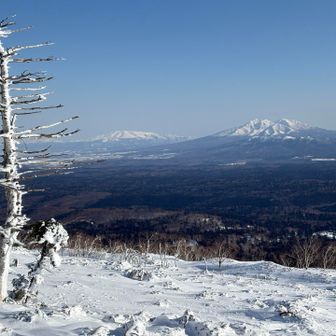 木々の間に🤩
この後、ほぼズボらずにまもなく下山‼️

おしまい