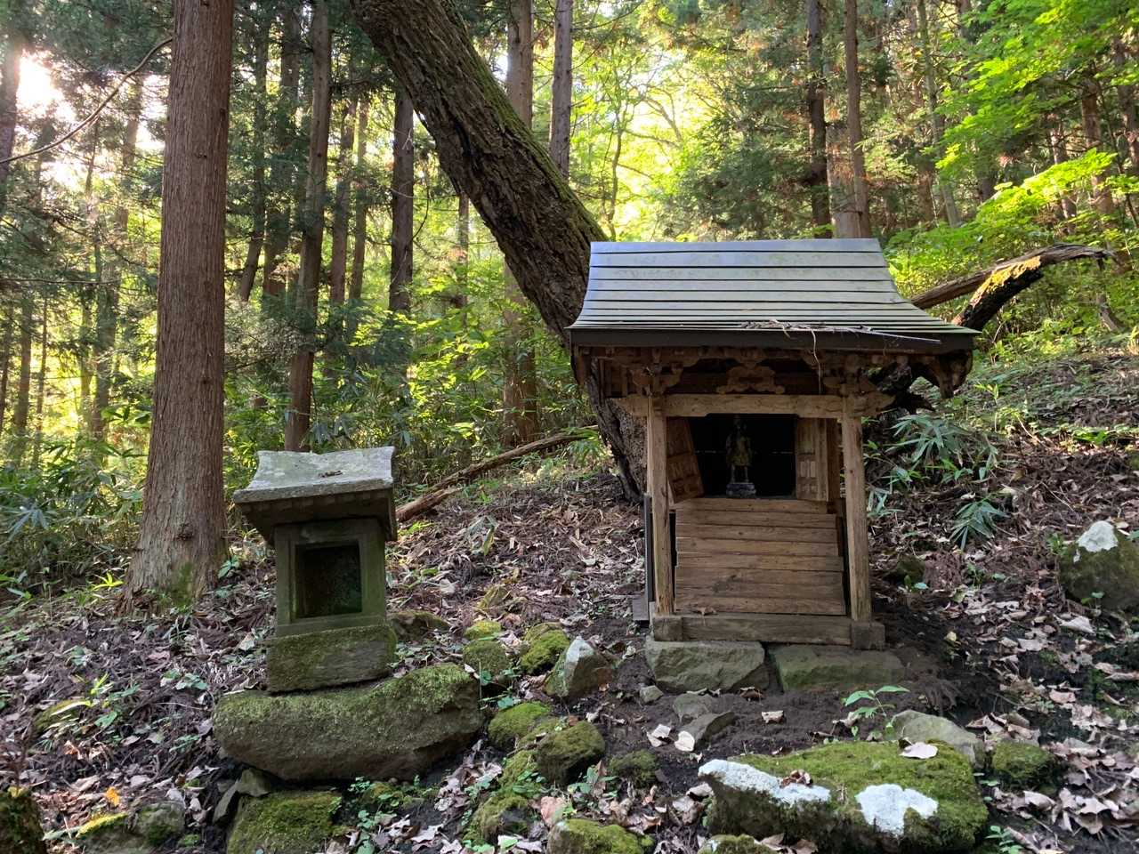 鳥越山 往復コースの写真