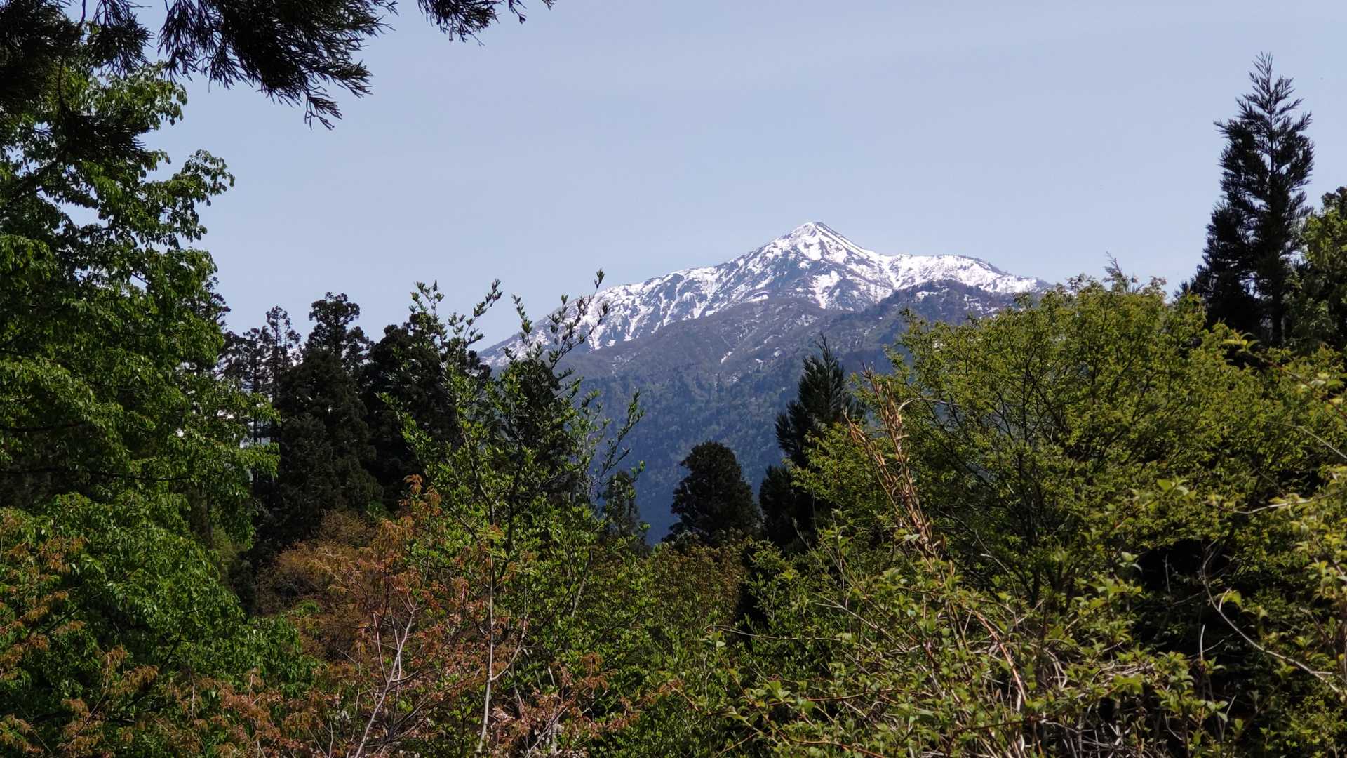 大丸山-来拝山 周回コースの写真