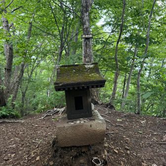 柳木ケ峰(やなぎがみね)⛰️
祠の奥の木に、小さな標識あり