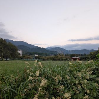 大山が少しだ尾根〜
