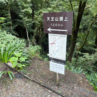 さてさてスタートです。