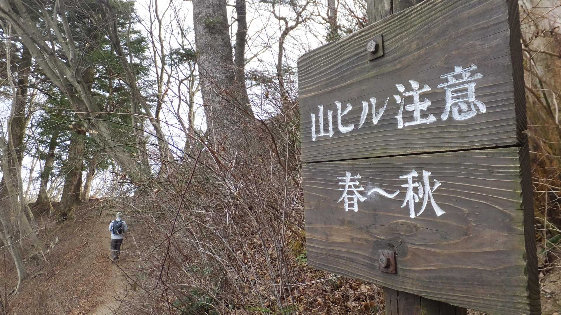 願い下げです。