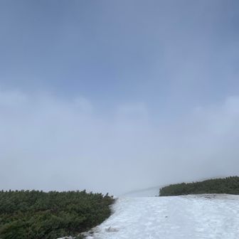 雲が抜けてきた