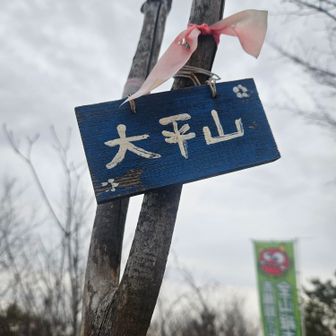 回廊時間内に通れるか？ギリな感じに…

二手に分かれよう！！
元気有り余る先発組と
ぶーたれ組に分かれて