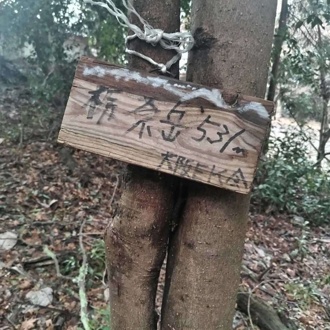ウロウロして到着