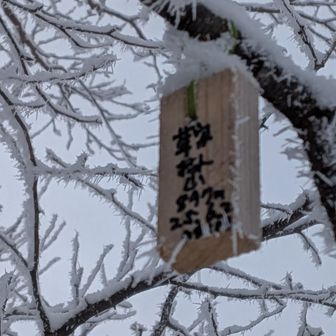 初めましてのプレート