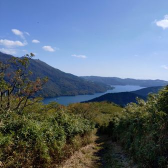 芦ノ湖に向かって下りていく
この先、けっこう急降で道細い…💦