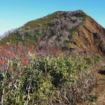 山頂手前も階段続き💪