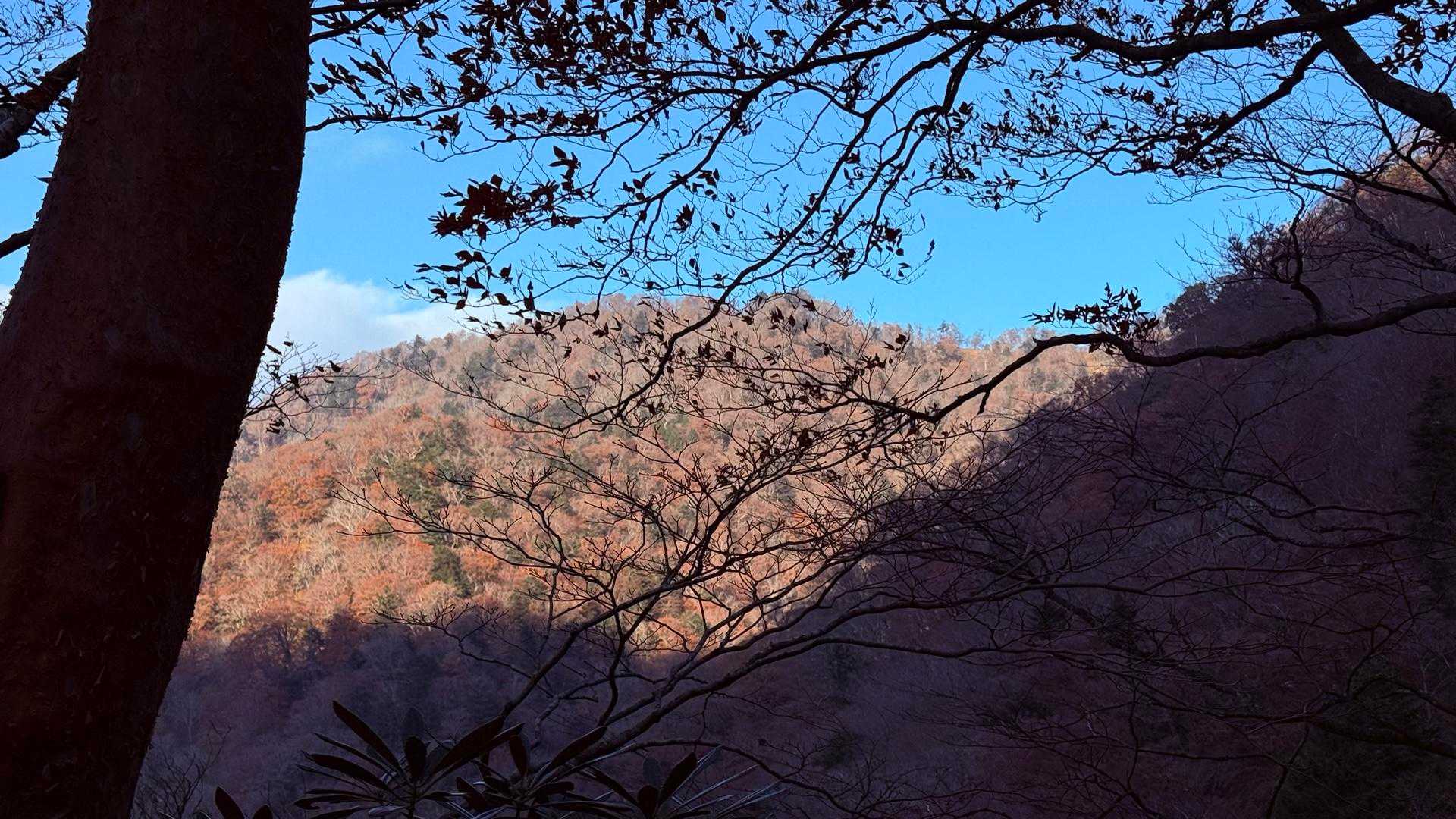 真っ赤な山と青い空
綺麗だなぁ