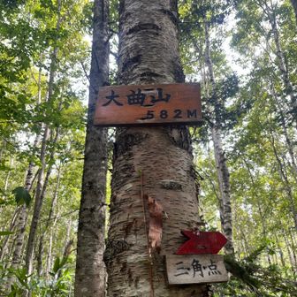 大曲山⛰️✨
せっかくだから三角点いってみる！！