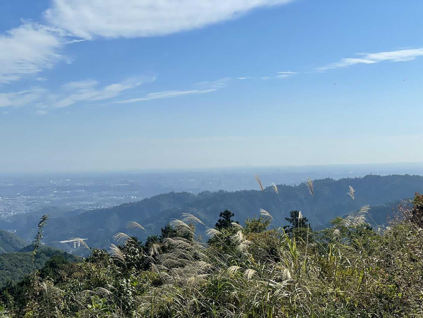 小仏バス停-景信山登山口-ヤゴ沢作業路登山口 周回コースの写真