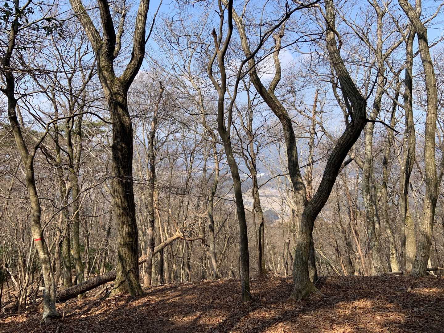 弥十郎ヶ嶽北峰
