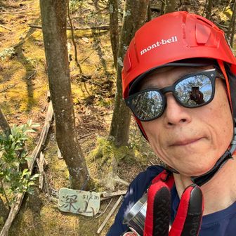 本日4🦈　深山登頂✌️
眺望はありませんが