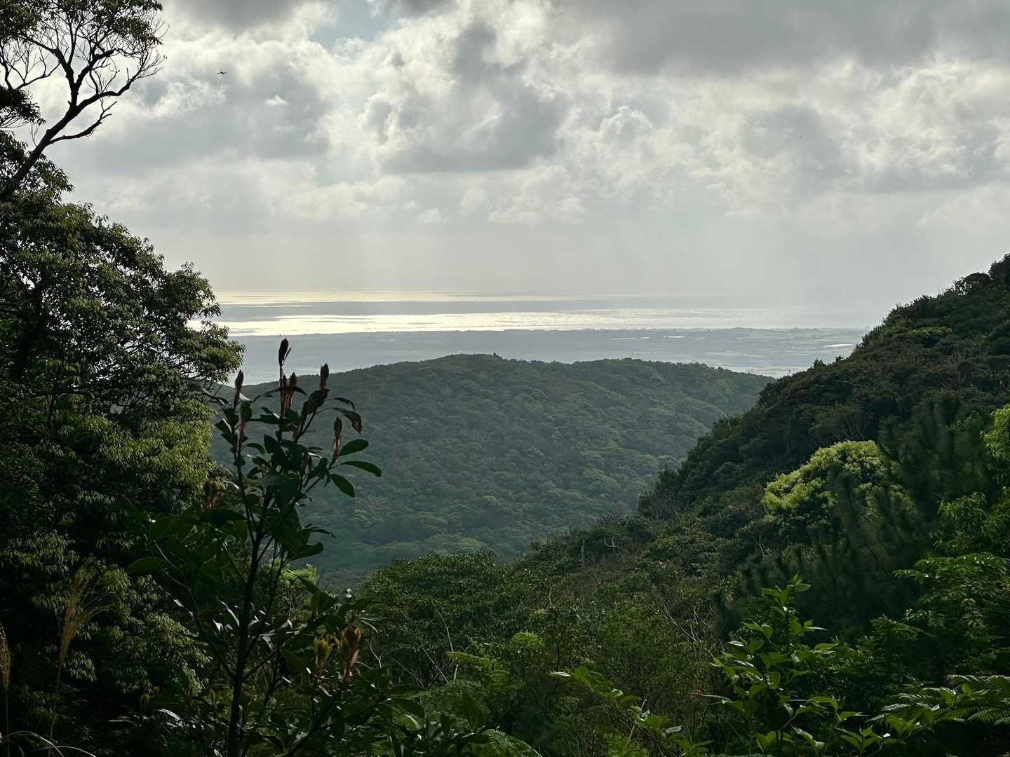 登山道から海が見える場所も。白保海岸辺り。