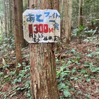 100ｍ毎に距離表示あり