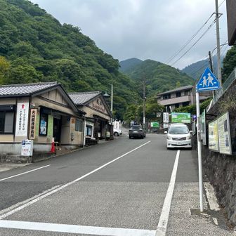 久々に来ました。年末に来て以来なので半年ぶりです。