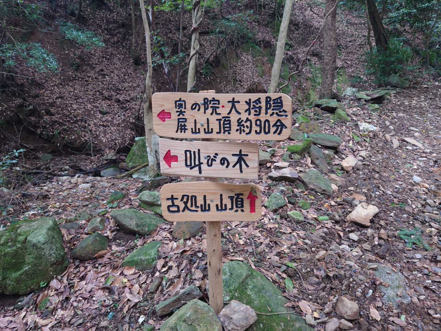 奥の院方面に〜　　リハビリにもってこいの急登です😅