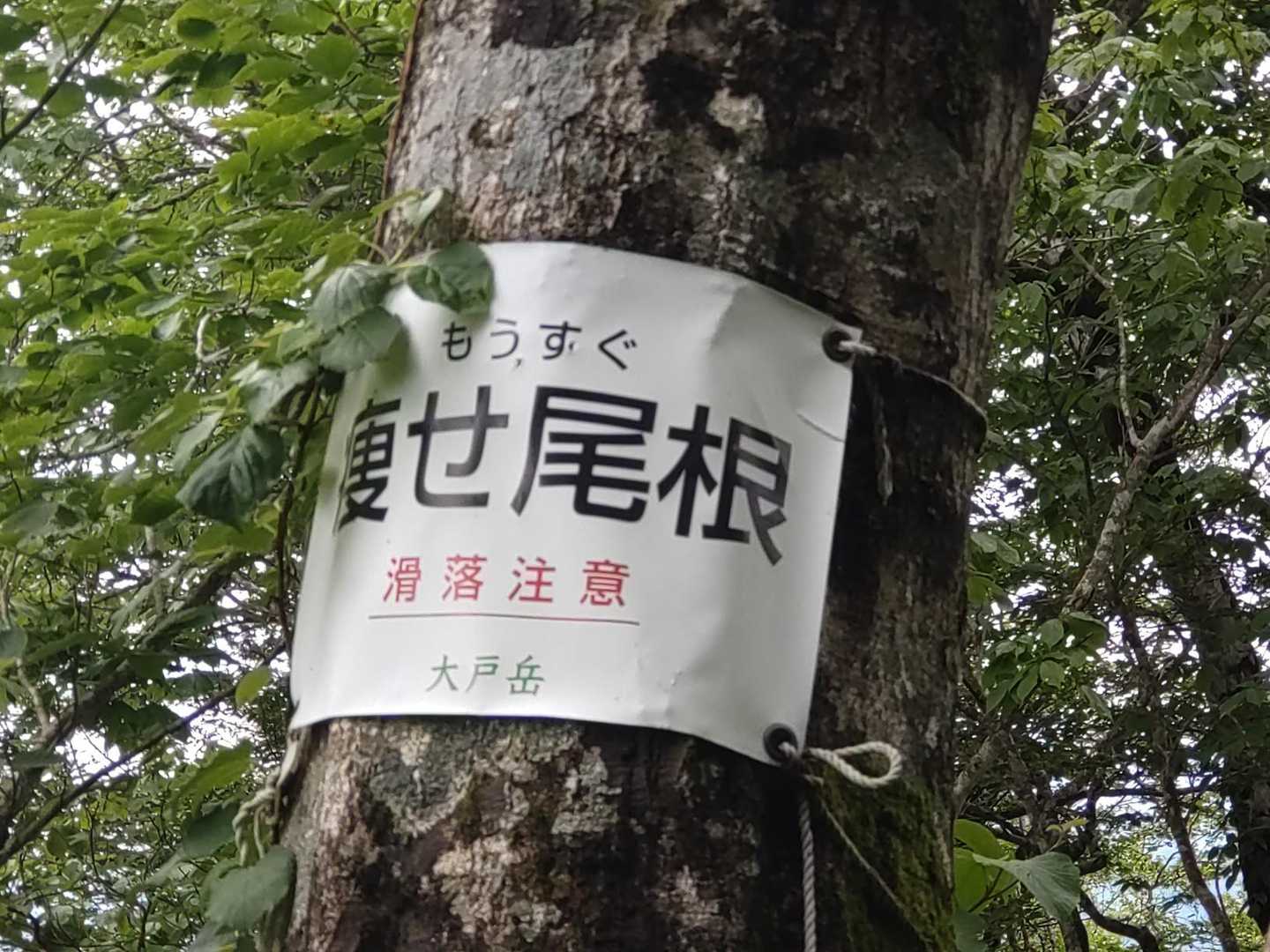 滑落注意…☠️