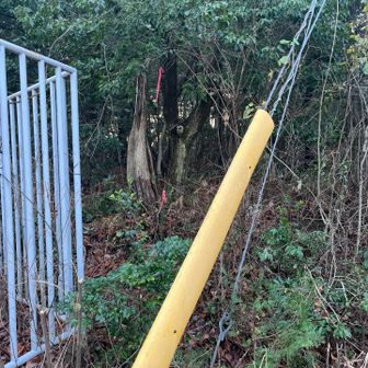 とも思いましたが諦めて道を探すことに。
広場手前の柵の角、ここから登るんですね。