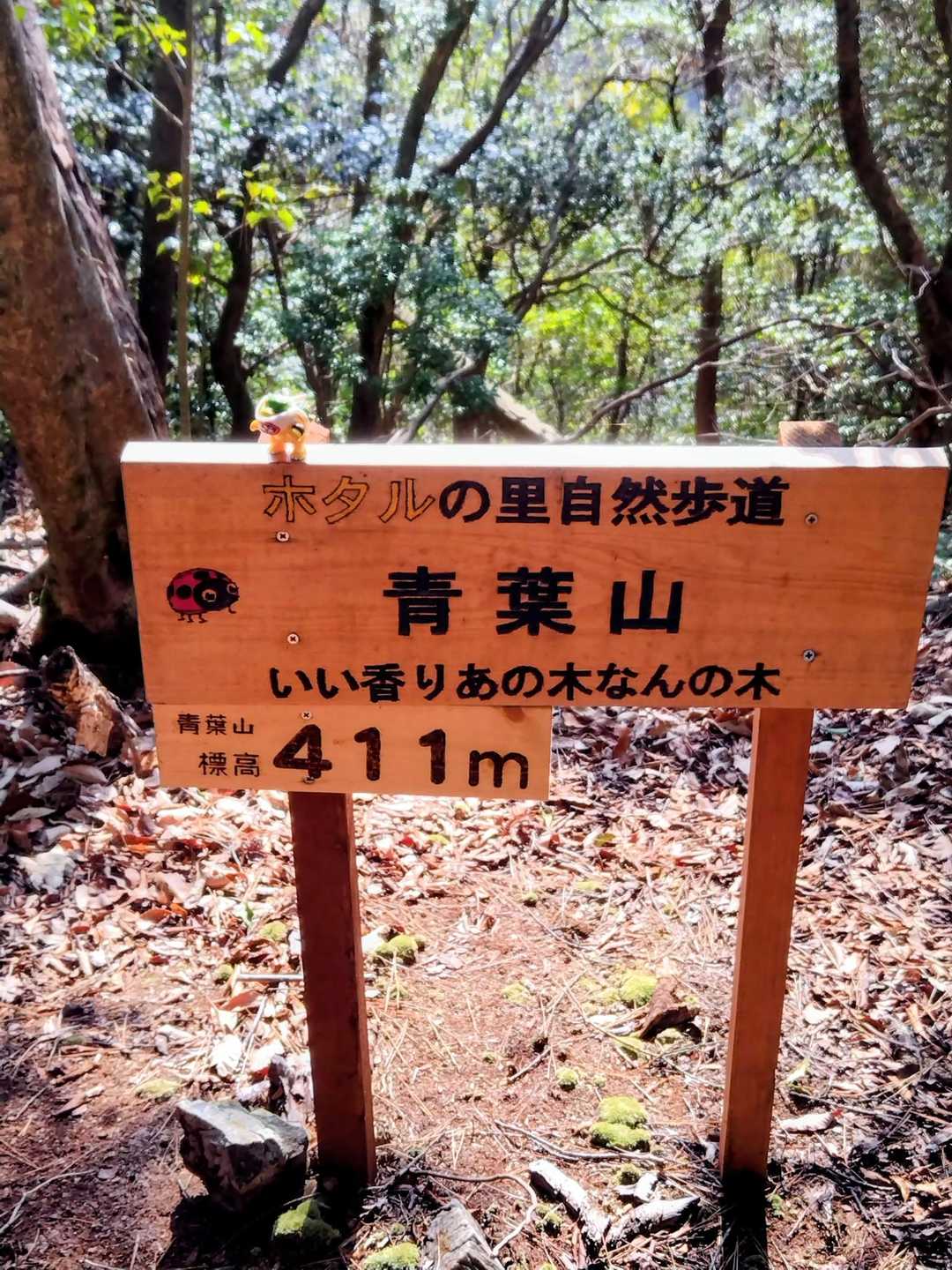 青葉山