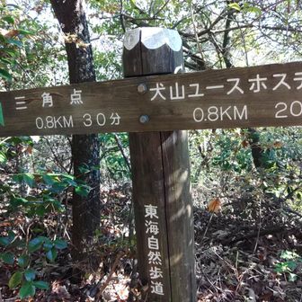 山名でなく三角点表示😆