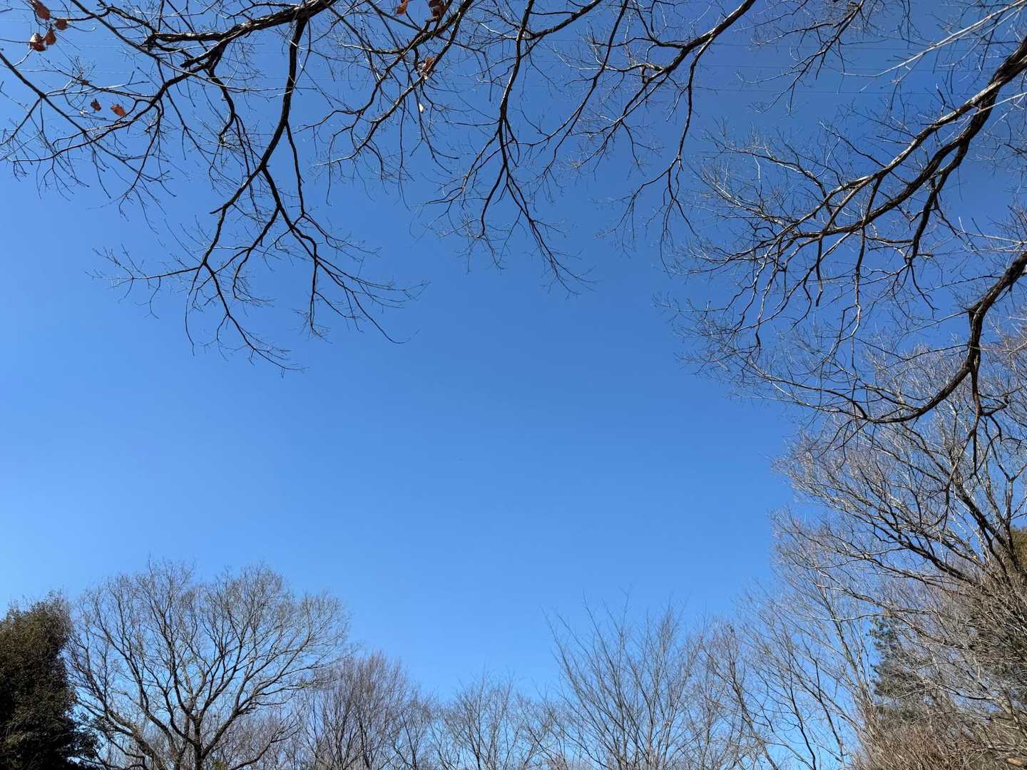 雲ひとつない陽気に感謝✨️  すごくいい気分転換になったよー！