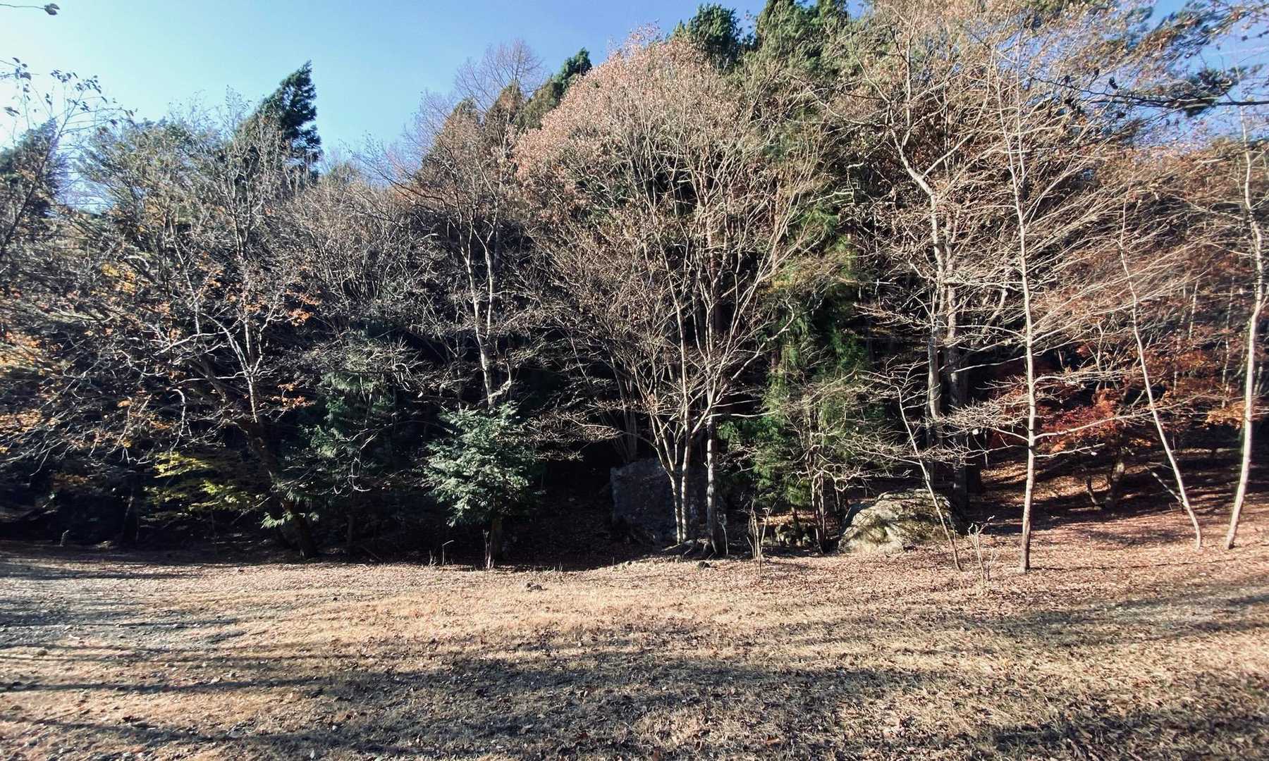 一本前のバスに間に合いそう⤴︎
西湖の写真撮る時間ないかなぁ💦