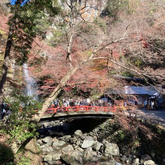 滝を見るために多くの人が、