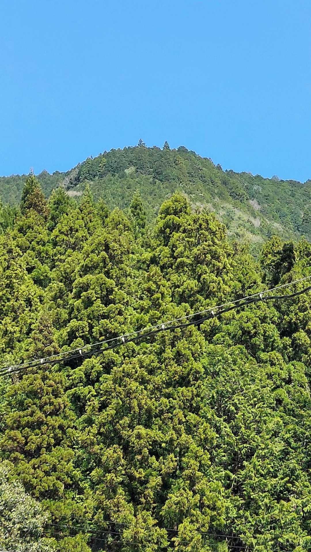 面平山　標高528m
あのてっぺんまで行きます🚶‍♂️
