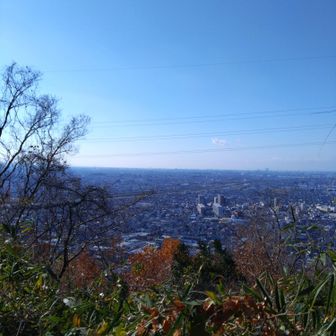 肉眼では大和川が見えて綺麗でした✨