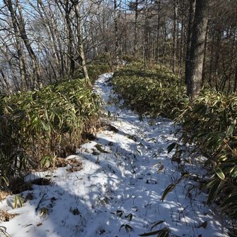 南アルプス展望台に移動します。