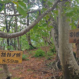 割谷ノ頭。