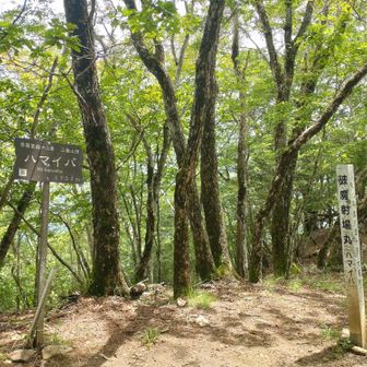 ハマイバ丸
破魔射場ってなんかかっこいい