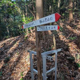 まっすぐ二の丸跡、荒平山頂上は右へ
