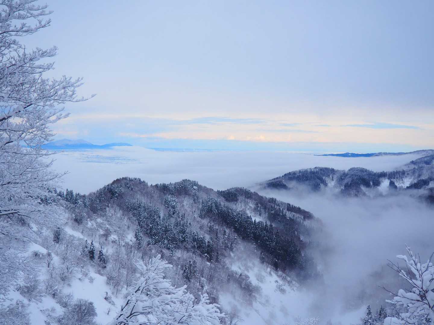 弥彦山の方。
水墨画の様だ☺️