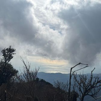 伊豆大島があるよだよー