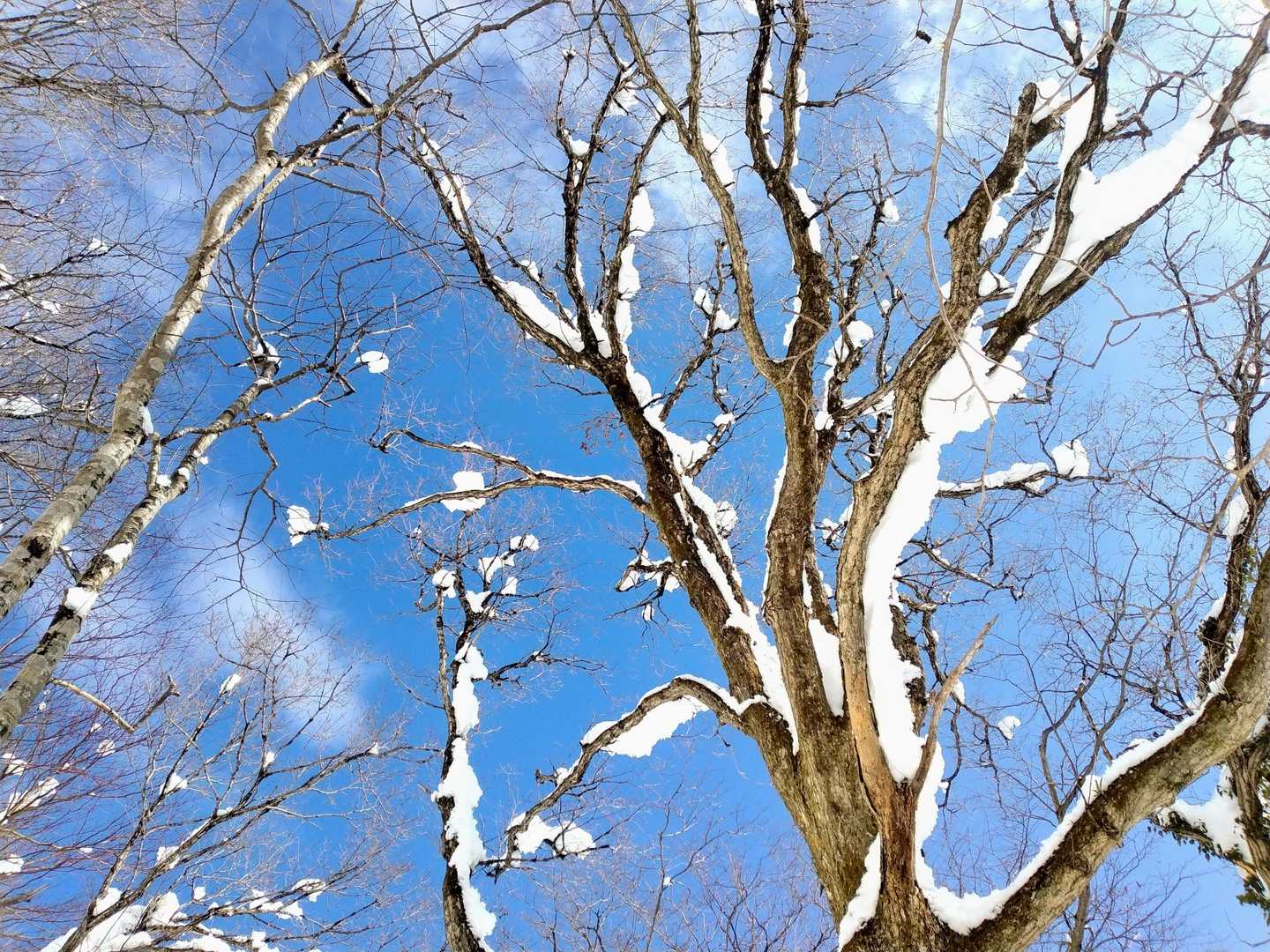 青空☀見える今のうちに
サクッと行ってきます💨