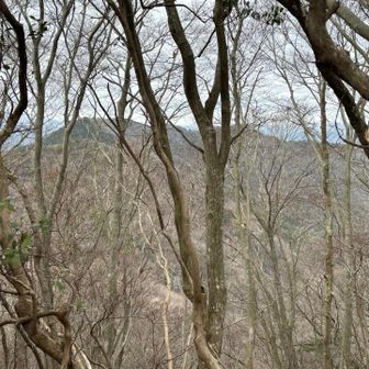 先ほど歩いた大掛山方面を振り返る