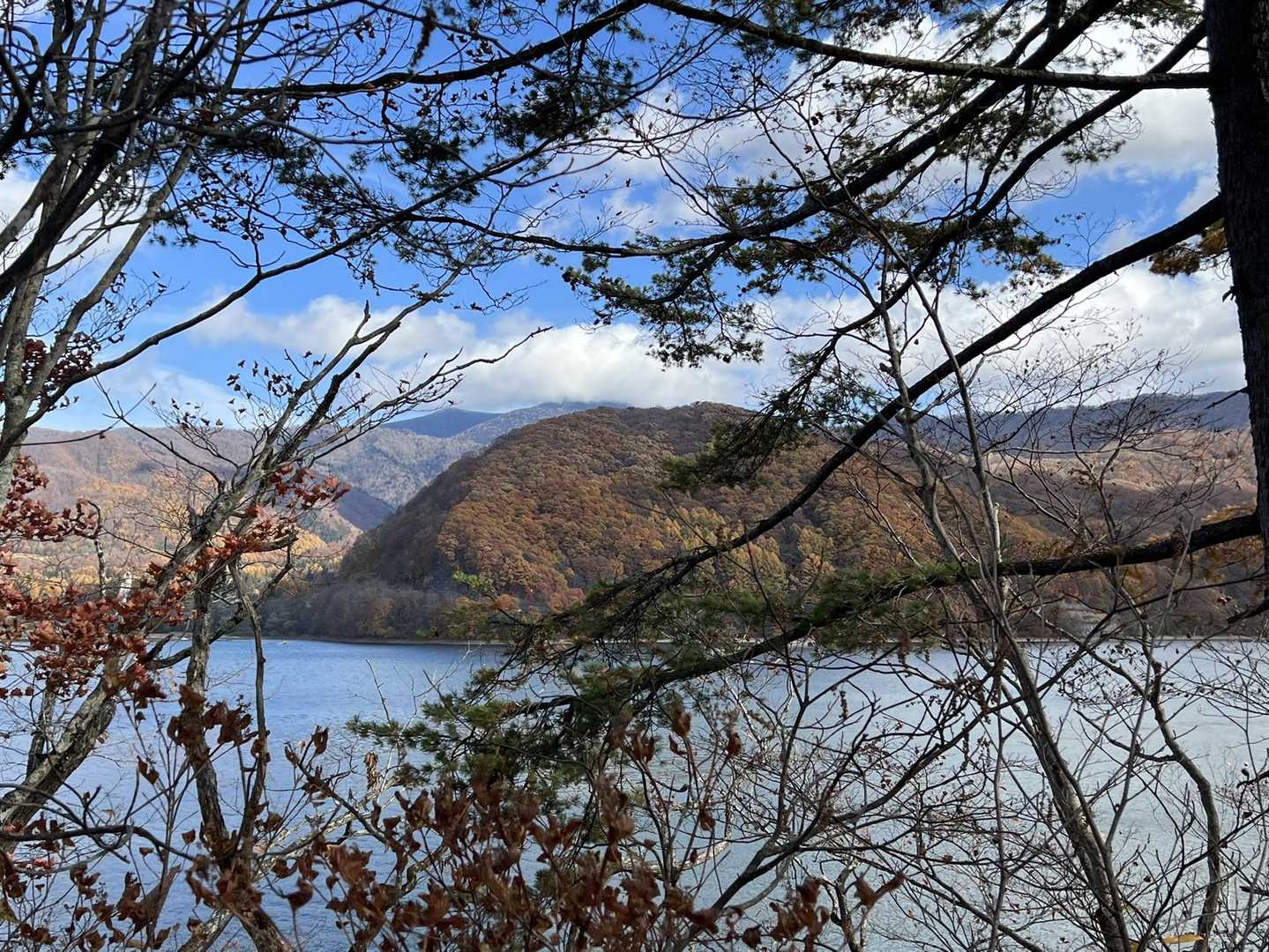 堂場山 往復コースの写真