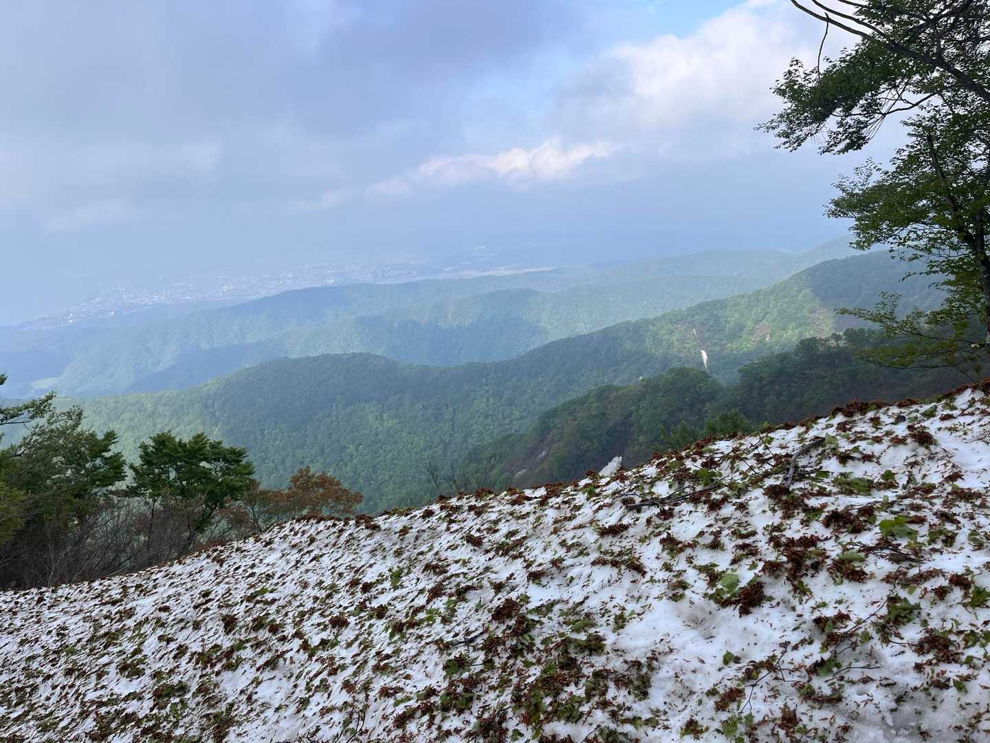 米山（吉尾コース登山口）＜吉尾コース＞の写真