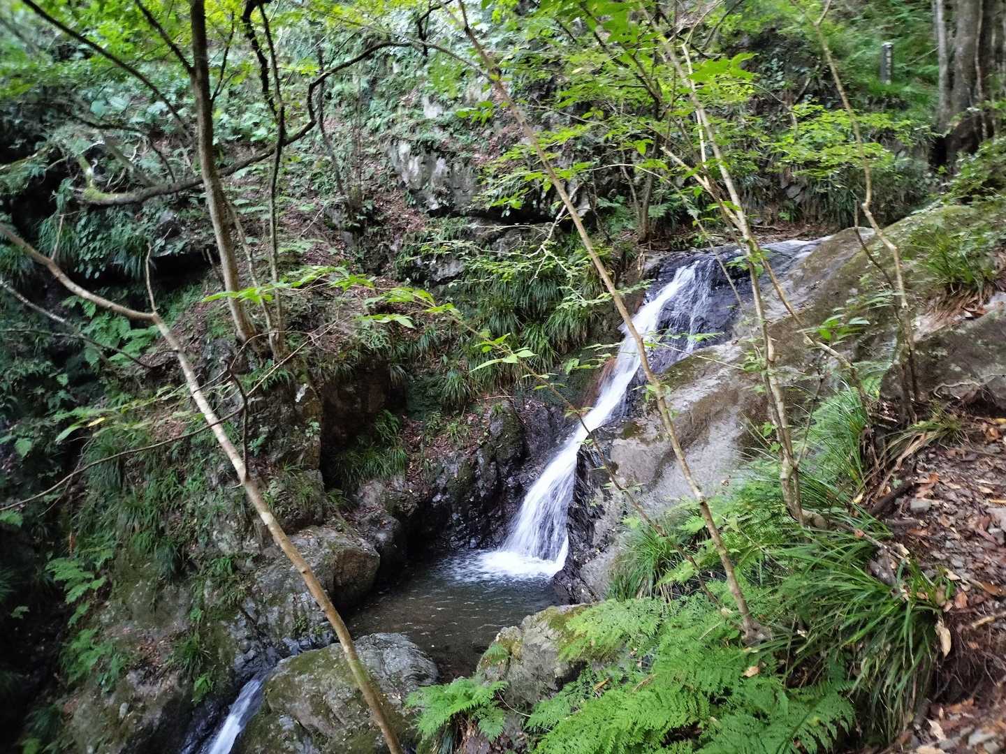 沢沿いを登って行きます😊