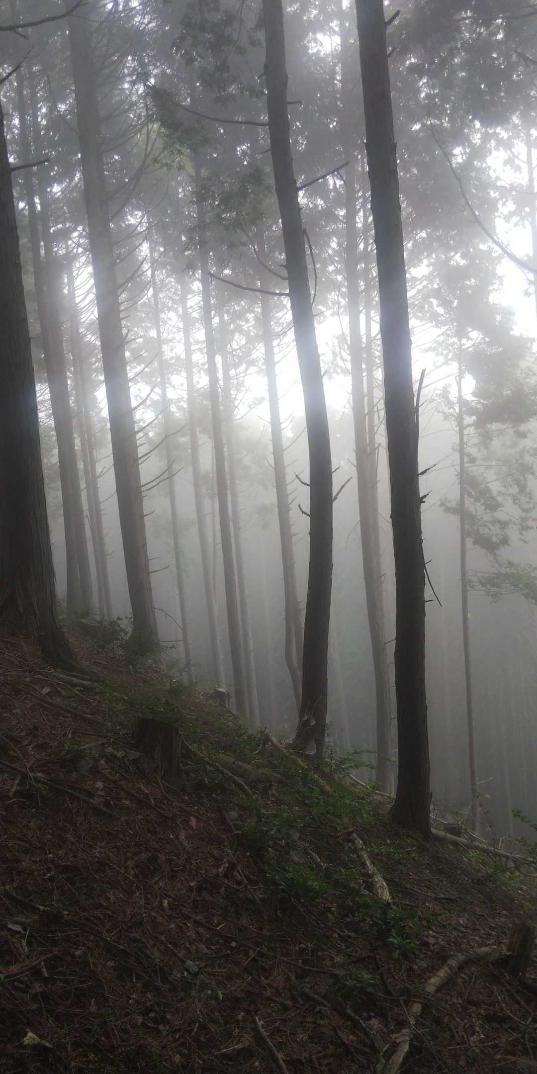 幻想的😍