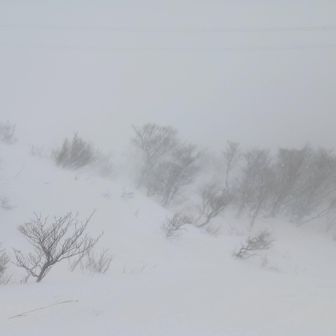 これはヤバそう…。
距離的には程なく山頂ですが。

いざとなれば撤退、は通用しない。
降りてきて、偉人さん!!🙏