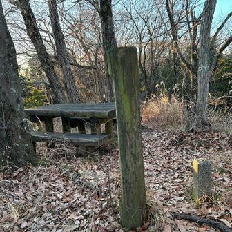 ベンチもありました