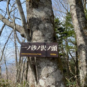 一ノ砂ノ沢の頭⛰️
展望は無し