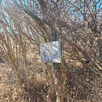 こちらも【大室山】到着🎵山標あります
YAMAPでは大室山南峰です